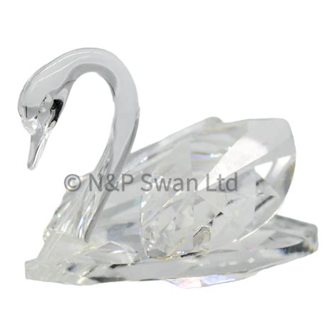 Swarovski Small Swan Beauties Of The Lake 015152 Nandp Swan Ltd