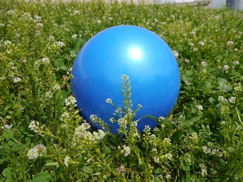 Blue Inflatable Ball Free Image Peakpx