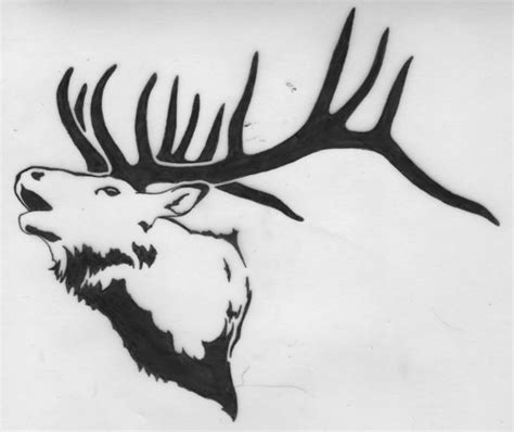 Elk Head Drawings Free Image Download