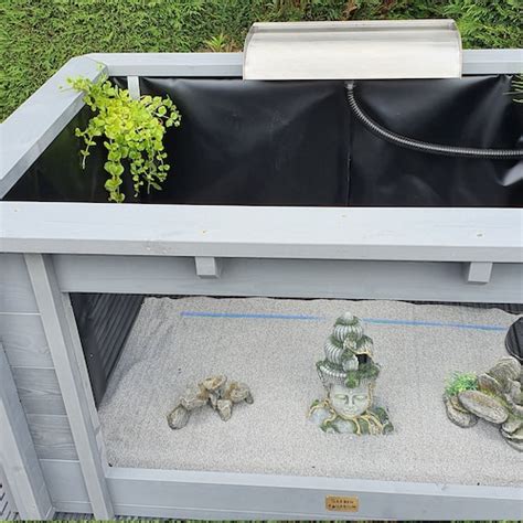 Lotus Clear View Garden Aquarium Raised Fish Pond With Two Etsy