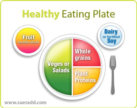 Diagram Diagram Of Healthy Eating Plate Mydiagram Online