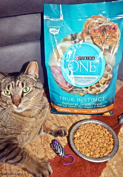 So many pet food reviews say instinct is one of the best—it's not as expressive as ziwi, but it's definitely on the more expensive side. Shop Purina ONE® True Instinct Cat Food - Natural, Grain ...