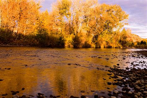 Boise River Flows Stock Photos Pictures And Royalty Free Images Istock