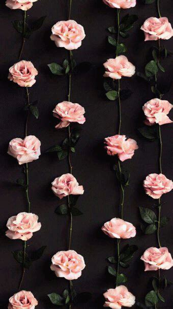 Du kannst dir jedoch sicher sein, dass unsere bilder auf leinwand sehr pflegeleicht sind. Vintage Nature Phography Spring Pink Roses 21 Best Ideas # ...