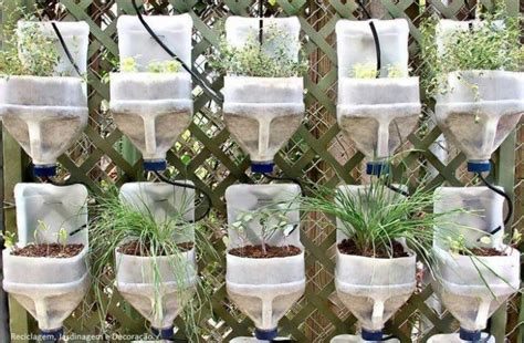 Creative Recycled Bottle Planters You Can Make Today Top Dreamer