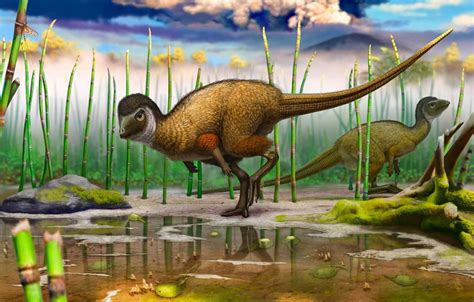 Did All Dinosaurs Have Feathers Answers In Genesis