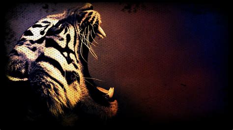 Wallpaper Tiger 3d
