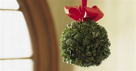 A box of loose mistletoe ideal for making sprigs or for decorating your party venue, table. Christmas traditions explained: Mistletoe