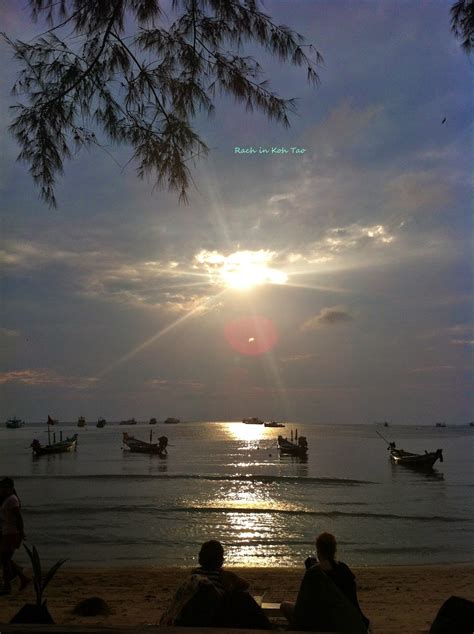 Its My Place Thailand Koh Tao Sairee Beach And Golden Buffet Restaurant Review