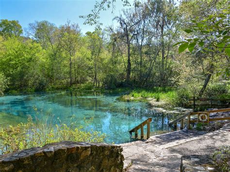 12 Natural Springs Near Miami For A Refreshing Dip In The Great Outdoors