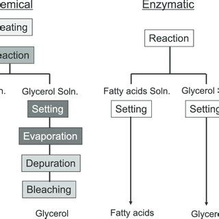Normal process involves hydrolysis or transesterification oleochemicals industry in malaysia started in 1979/1980. (PDF) Oleochemical Industry Future through Biotechnology