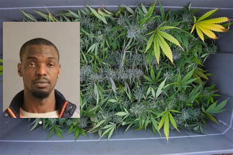 When you work with us, feel confident knowing that we will take the very best care in insuring your product. Police: Man Found in Hudson Valley With Nearly 4 Pounds of ...