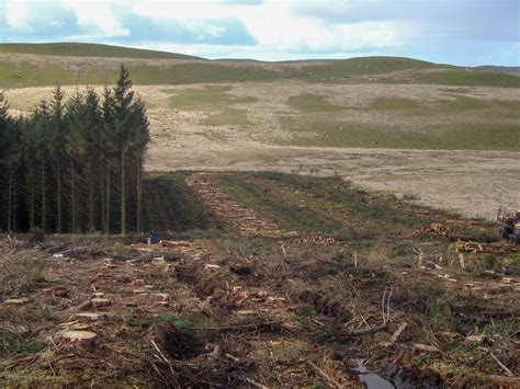 Factsheet Peatlands Forestry And Climate Change Forest Research