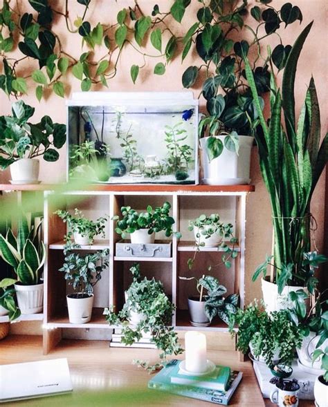 50 Indoor Garden Ideas How To Make Your Own Indoor Garden At Home