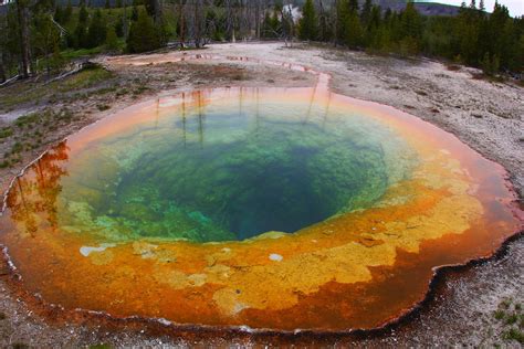 5 awesome facts about yellowstone national park liveminty