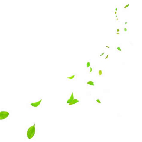 Falling Green Leaves Png Photo Png Arts
