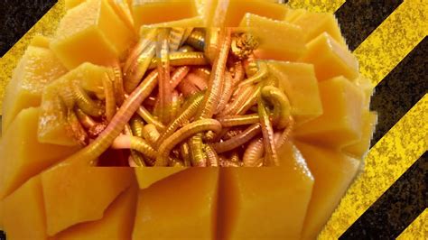 Unbelievable Mango Worms ।।আমের পোকা ।। Youtube