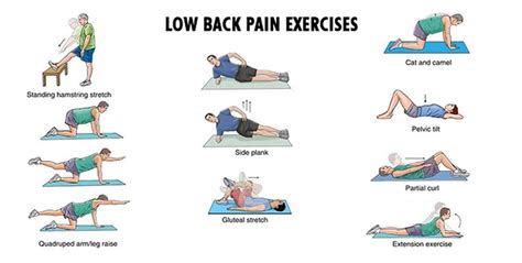 lower back exercises and stretches | CHRONIC PAIN aka I ...