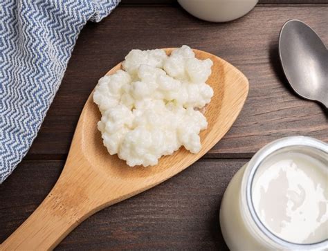 Grains de kéfir où s en procurer c est quoi
