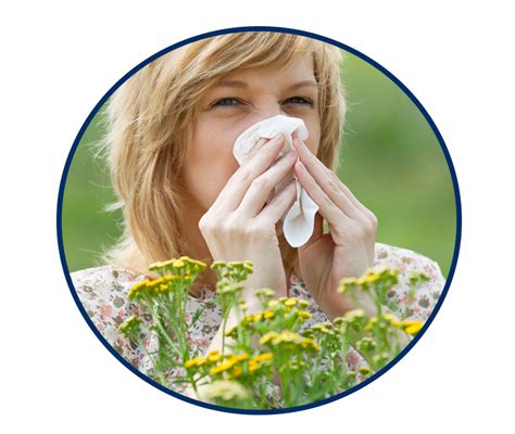 Allergies Ear Nose Throat And Sinus Center Of Orlando