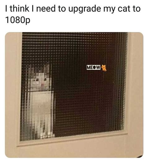 Bito Meme By Thepartypooper Memedroid