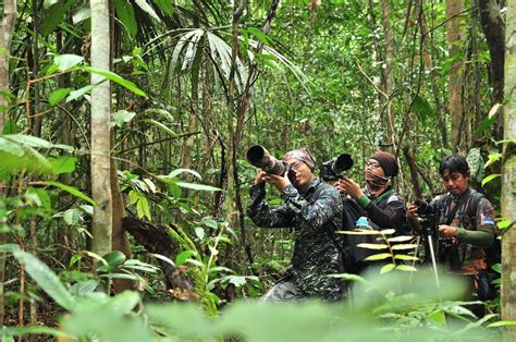 Pakar Dari Ipb Luas Tutupan Hutan Indonesia Terus Berkurang Eduwara Com