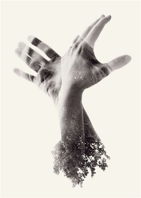Layered Image Photography We Are Nature By Christoffer Relander
