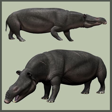 Moeritheriumdr Mammals Dinosaur Animals