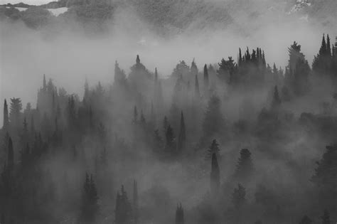 Fog Foggy Hills Free Photo On Pixabay