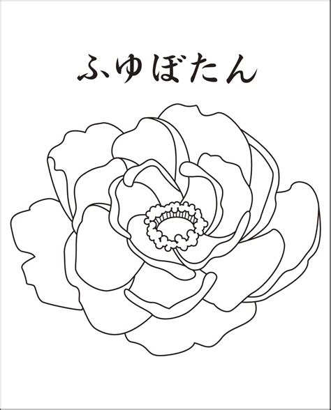 朝顔の塗り絵 向日葵の塗り絵 キューピーちゃん 恐竜の塗り絵 花火、打ち上げ花火のぬりえ: レク素材 冬牡丹(花)｜介護レク広場～レク素材やレクネタ ...