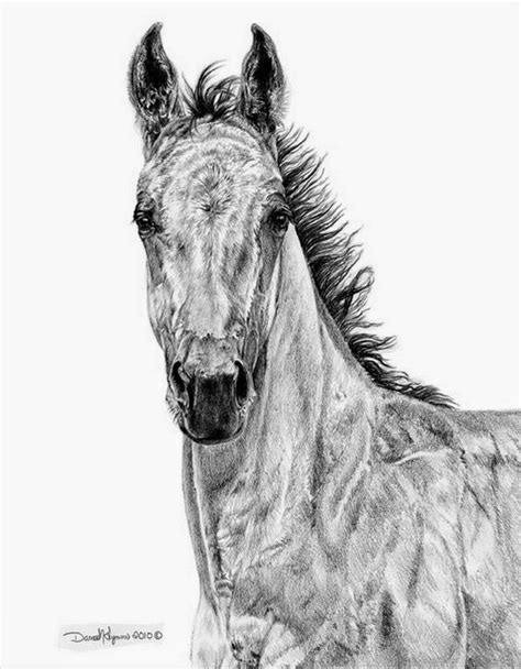 Pintura Moderna y Fotografía Artística Los mejores dibujos de