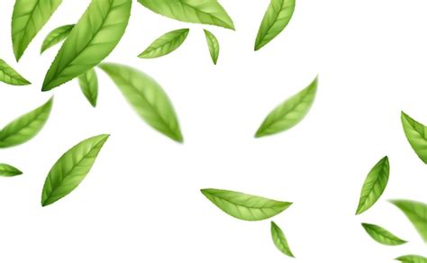 Free Vector Realistic Flying Falling Green Tea Leaves Isolated On