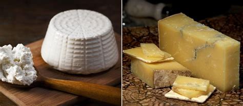 The 10 Best And Worst Cheeses For Your Health Women Daily Magazine