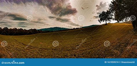 Golden Panoramic Countryside Field Skies And Trees Stock Photo Image