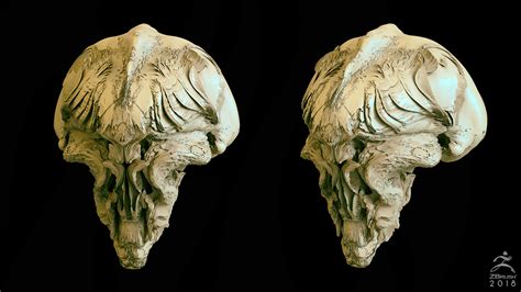 Joseph Drust Sculptris Pro Skulls Zbrush 2018