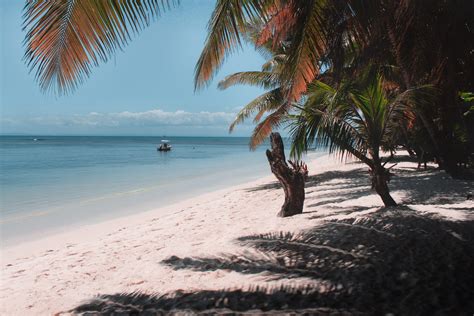 Free Download Hd Wallpaper Madagascar Palms Madagaskar Sand