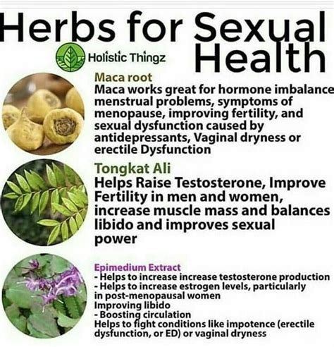 Pin By Danilo On Health And Natural Cure Herbs For Health Natural