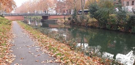 Theodore Biscotte Site Purge du canal du midi