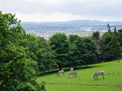 A day in Edinburgh Zoo - Destination daydreaming