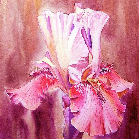 Happy Pink Iris Flower In The Garden Watercolor Painting By Irina
