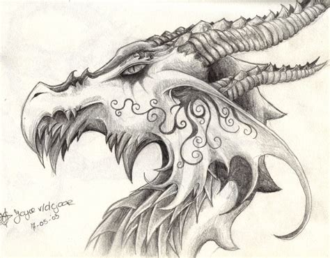 Dragondrawings ol dragon drawings ideas on jpg. dragonface by daisyamnell on DeviantArt