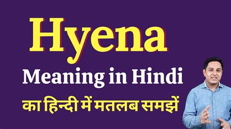 Hyena Meaning In Hindi Hyena Ka Kya Matlab Hota Hai Spoken English