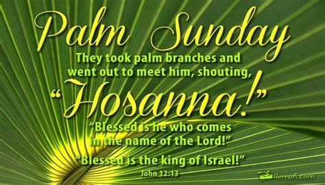 Palm Sunday Greeting Pictures And Images Free Download Sunday