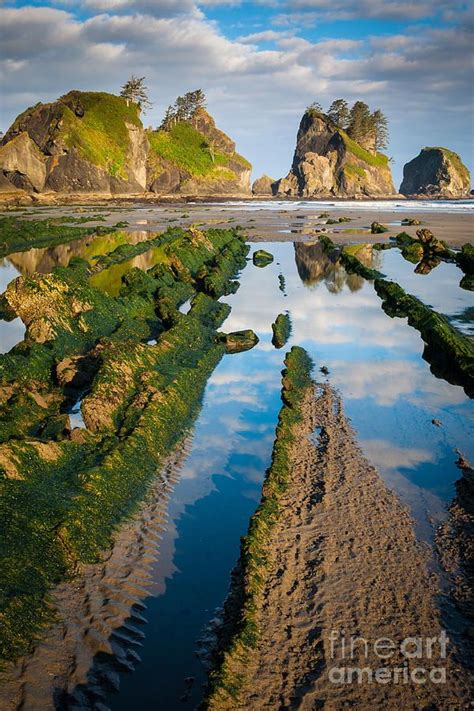 Low Tide At Point Of The Arches Olympic National Park Wa Parque