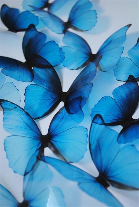 Many Blue Butterflies Are Arranged On A White Table Top With One