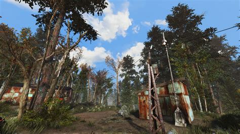 Another Pine Forest Mod At Fallout 4 Nexus Mods And Community
