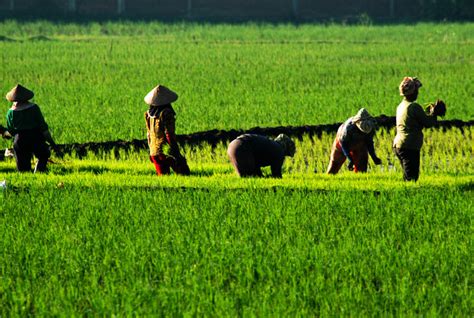Kartu kredit digital pertama yang jaka rekomendasikan adalah kredivo. PETANI MISKIN JAWA TIDAK AKAN LAKUKAN JUAL BELI TANAH ...