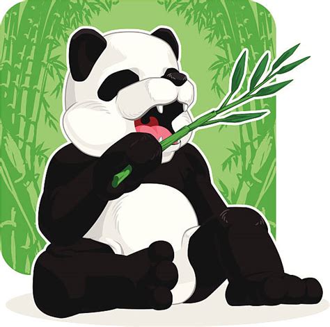 Chengdu Illustrations Royalty Free Vector Graphics And Clip Art Istock