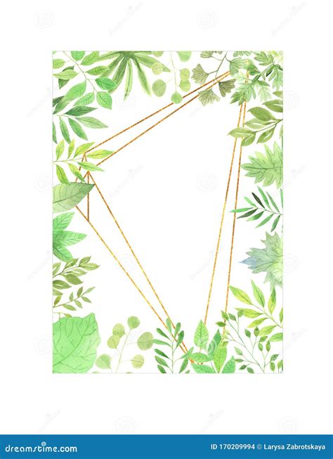 Watercolor Floral Geometric Frame And Leaves Stock Photo Image Of