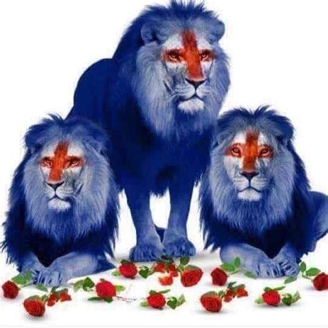 Three Lions Nickname Of England Football Team England Lions